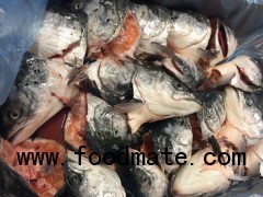 Salmon Head Pink Salmon Heads Frozen Fresh September 2018