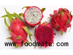 FRESH DRAGON FRUIT