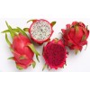 FRESH DRAGON FRUIT