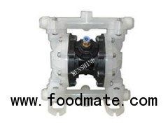 RW Air operated diaphragm pump pneumatic pump