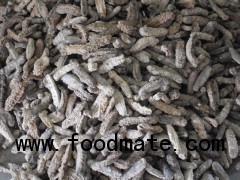 Dried Sea Cucumbers and Dried Sea horse for sale