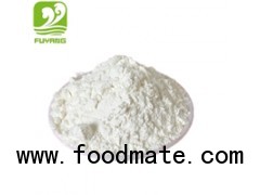 Maize starch manufacturer