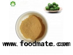 monk fruit herb extract