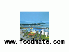 Large Edible Oil Refinery Machine