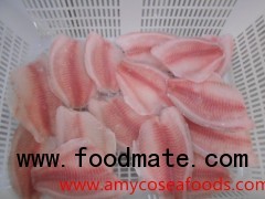 Frozen Tilapia Fillet at very low price