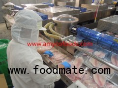Tilapia Fillet Grade A from reliable factory in China