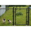 PVC Coated Chain Link Fence