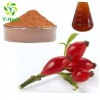 Bulk Rosehip Powder 10% UV Rose Hip Extract Flavone