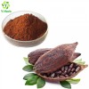 Best selling Losing Weight Product Cocoa Powder Theobromine 10 % 2 0%