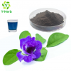 100% natural organic dried butterfly pea extract powder