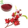 Hibiscus sabdariffa extracts, Roselle extract, roselle calyx extracts powder