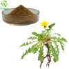 Top quality Taraxacum Officinale Extract Dandelion Root Extract Powder