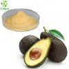 100% Pure Natural Bulk Avocado Powder