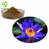 10:1 50:1 100:1 200:1 Pure Flower Petal Bulk Blue Lotus Extract