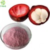 100% pure organic mangosteen fruit powder/mangosteen juice powder