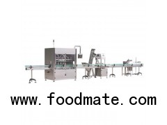 Automatic Paste Filling Capping Labeling Sealing Production Line