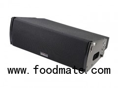 Dual 8 Inch Active Line Array Speaker