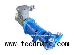 2BV6 Liquid Ring Vacuum Pump