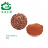 Natural grape seed extract powder (high orac value) 95% OPC with reasonable price
