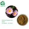 Echinacea Purpurea Herb Extract Polyphenole 4% Phenols