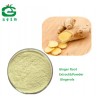 Natural ginger extract powder/ginger root extract Gingerols5%