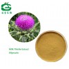 Natural Silybum Marianum /Milk Thistle extract Powder/Silymarin