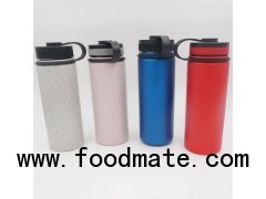 Single Wall Stainless Steel Water Bottle