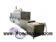 Microwave Wood Drying Machine