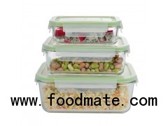 Glass Food Container With Full Compartment