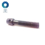 Carbon Steel Clasp Sealing Bolt