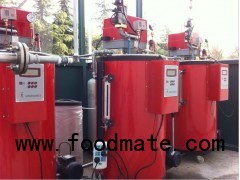 Automatic Liquedied Electric Steam Gas Generator Boiler