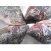 Tilapia Whole GS frozen