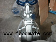 API Stainless Steel CF8 (M) /CF3 (M) Flanged Gate Valve
