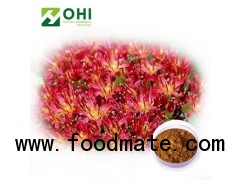 Rhodiola Rosea Extract