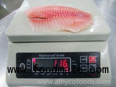 Tilapia Fillet Grade A from reliable Tilapia Supplier/factory in China