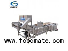 304 stainless steel vegetable and fruit cleaning machine