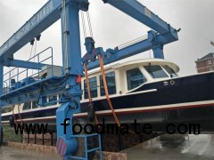 Boat Handling Crane