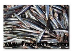 canned fish anchovy and tuna