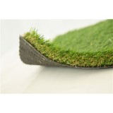 C Turf Type Turf Landscaping