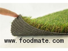 C Turf Type Landscape Turf