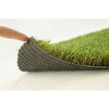 C Turf Type Landscape Turf