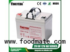 VRLA Battery