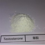 Raw 1-Test Cyp Steroid Powder