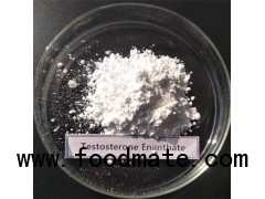 Raw Testosterone Enanthate Powder