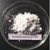 Raw Testosterone Enanthate Powder