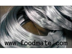 Electro Galvanized Iron Wire