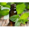 Mint Oil