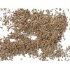 Canary Seed