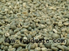Coffee Bean