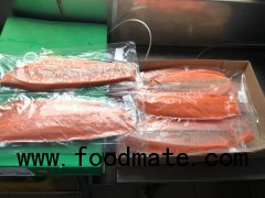 Hot sale New Season Frozen Salmon fish /fillet